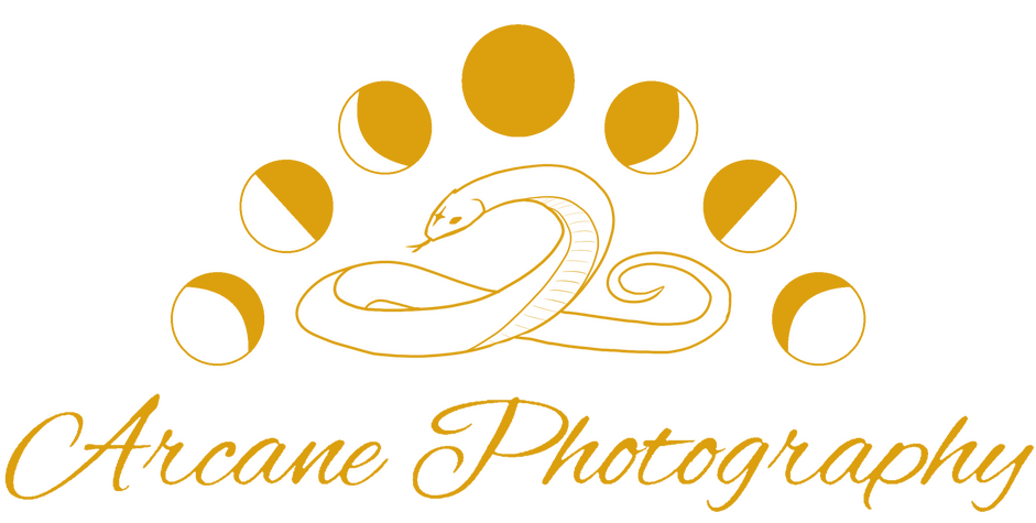 Arcane Photography logo with a snake curled under moon phases